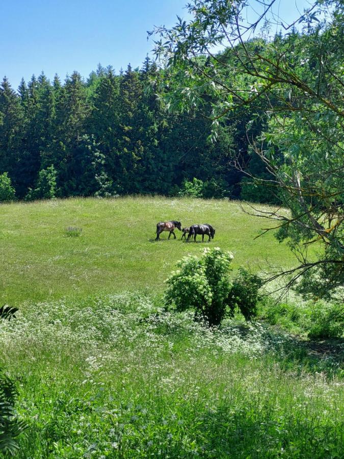 "Cztery Klony" Villa Kowale Oleckie Eksteriør bilde